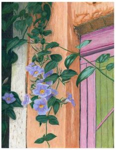 Thunbergia at the Door
